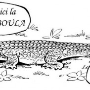 illustrations_2003_01