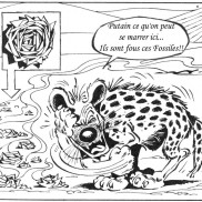 illustrations_2003_02