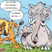 illustrations_2003_05