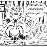 illustrations_2003_06